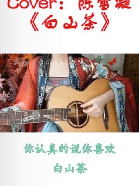 The studio cover of 不介意